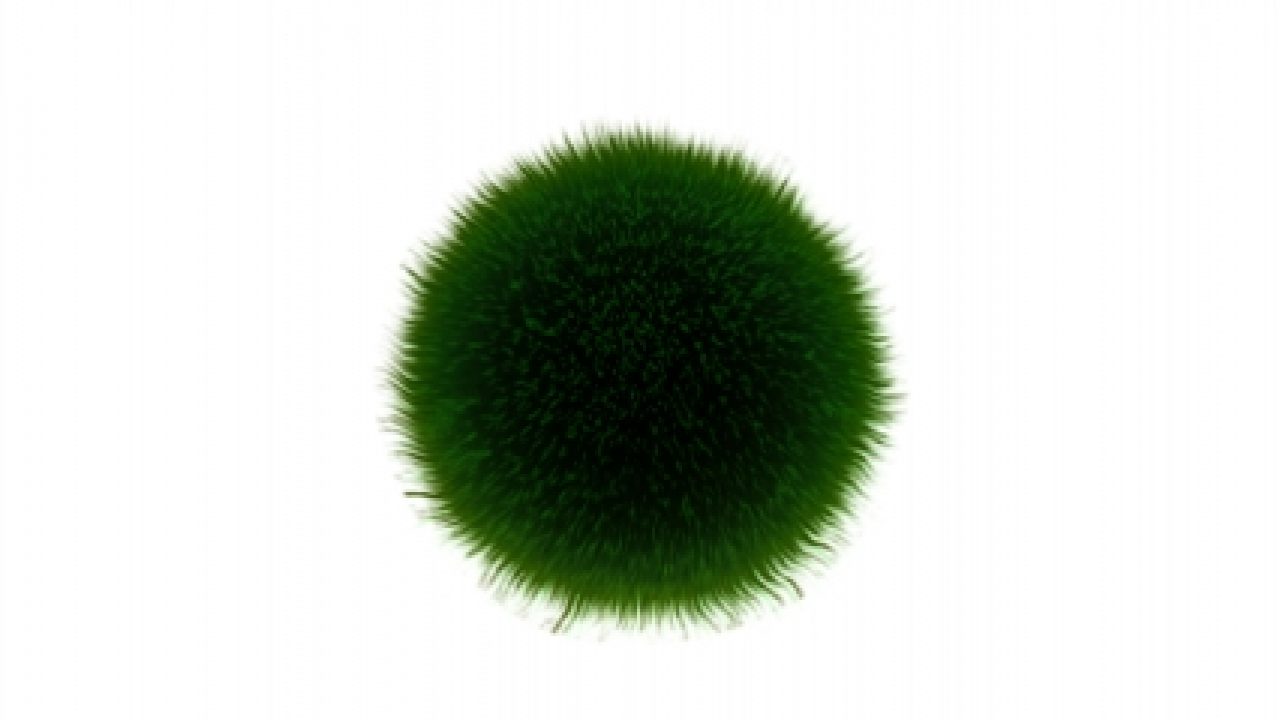 ただマリモを愛でるだけのiphoneアプリ まりも あつラボ