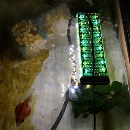 秋月のLEDで作った水槽用LED照明を水槽に設置