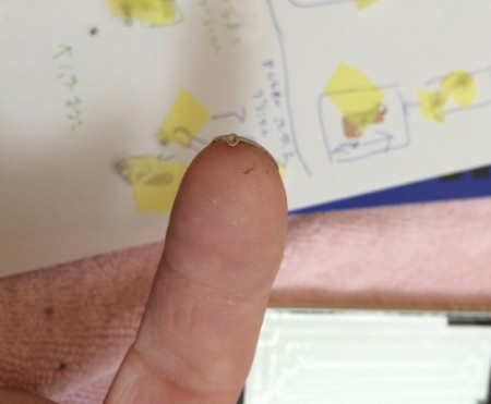 とても小さなiPhoneで使われているネジ、指と爪の間にはさまる