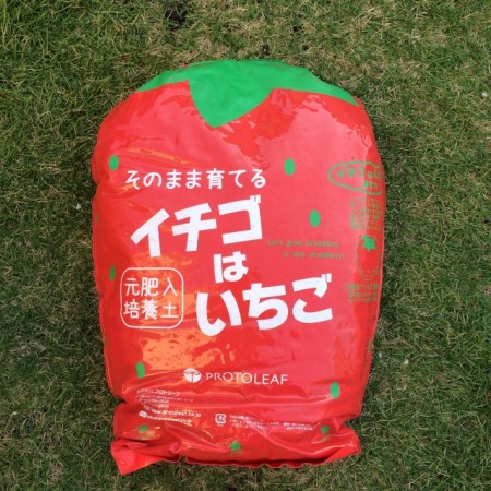袋のまま育てられる イチゴはいちご培養土 約12L