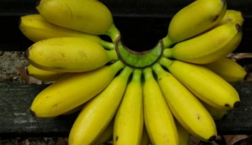 バナナが黒くならずに長持ち！バナナの簡単な保存方法