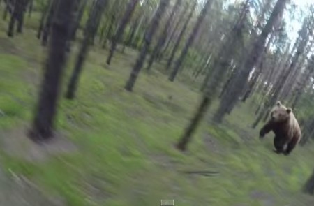 サイクリング中に森の中でリアルに熊に出会ってしまった動画